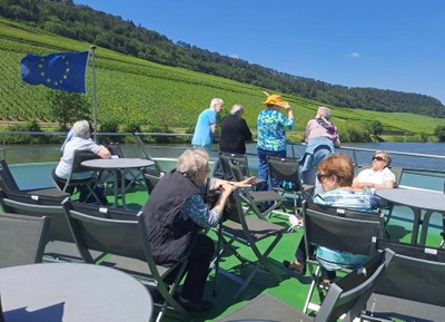 Les vignobles à perte de vue